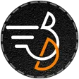 Bdriver Logo
